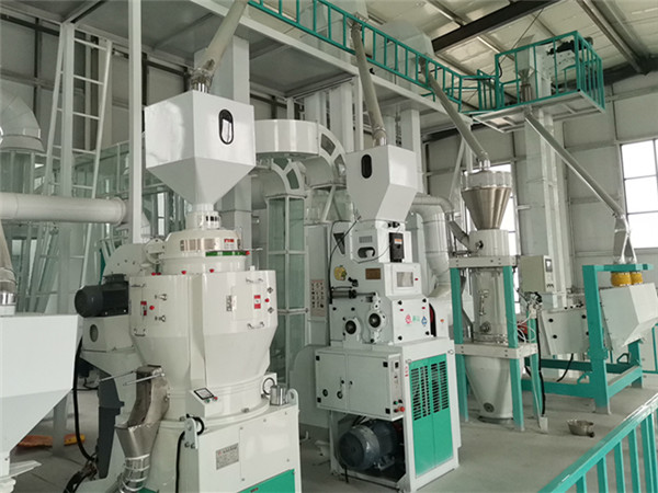 全自動大米加工設備